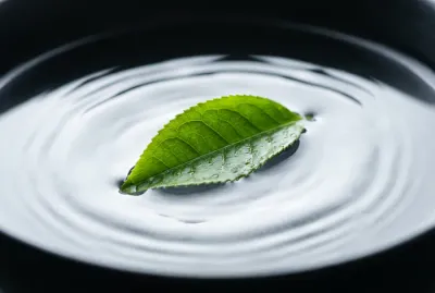 Gros plan minimaliste sur une feuille de thé dans l'eau symbolisant la pureté et la santé