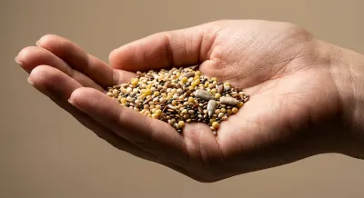 Gros plan iconique de graines variées dans la paume d'une main