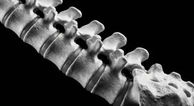 Détail iconique des vertèbres lombaires sur fond noir.