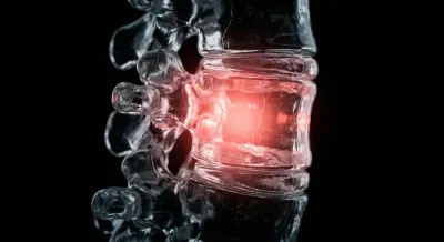 Modèle anatomique de la colonne vertébrale mettant en évidence la zone lombaire.